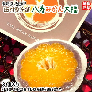 ݂啟 i3j Q c O`̖  kC//k͕ʓr FaC̍K≮ QSݓX