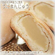 うにまんじゅう （8個入） 愛媛 佐田岬 日本最長半島の伝統の味 送料無料 北海道/沖縄/東北は別途送料 宇…