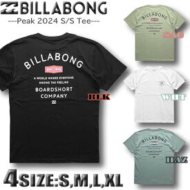【2024年夏新作】ビラボン Tシャツ メンズ サーフブランド BILLABONG 半袖 バックプリント レギュラーフィット 【あす楽対応】Sサイズ,Mサイズ,Lサイズ,XLサイズ BE011-205