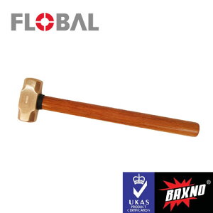 BAXNO n}[ RBOH-2 42007521 h hH obNXm SH t[o FROBAL