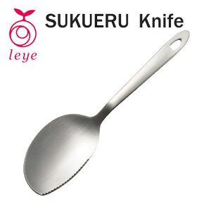 iCt/LS1509/XeX/Xv[/LeyeCG/AUXI[NX@V Mtg