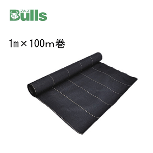 �h���N���X�V�[�gPRO 10�N BOSO101010 1m×100m�� 100�������[�g�� �u���Y Bulls