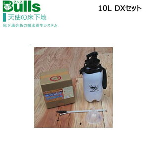 Bulls uY Vg̏n@10L@DXZbg {  SOA10-DX