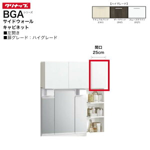 �y�@�l�E���[�J��������z �N���i�b�v BGA�V���[�Y �T�C�h�E�H�[���L���r�l�b�g GASA25��L �y�n�C�O���[�h�z �Ԍ�25cm ���J�� ���� �I ���[