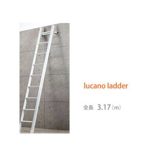 yzylucano ladder (J[m_[)zytgp͂z S3.17(m) zCg LML1.0-31