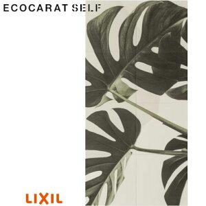NV GRJbgZt ECSF-1260M/113 (tւp) W606×H1212mm 1260Zbg ECOCARAT SELF LIXIL