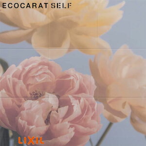 NV GRJbgZt ECSF-9090S/120 W909×H909mm 9090Zbg ECOCARAT SELF LIXIL
