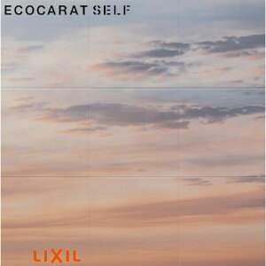 NV GRJbgZt ECSF-9090M/201 (tւp) W909×H909mm 9090Zbg ECOCARAT SELF LIXIL