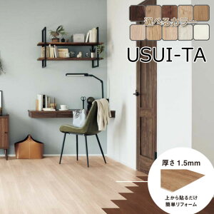 pi\jbN USUI-TAmEXC[^nϔM^Cv XKERSH  pʃe[vZbg fp 1.5mmtH[t[O Panasonic ȒP{H DIY