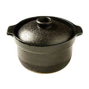 iC RTR-20IGA2 pyu܂ǂ񎩓v Rinnai