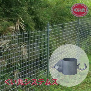 y[J[E@llzۃVXeY C`tbN tFX tFXoP[hp 42.7 Ђ