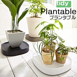 tidy Plantable@[v^u]ubNOT-668-100-0/uEOT-668-100-4/zCgOT-668-100-7 ϗtApLX^[t Aؔg[ ړ