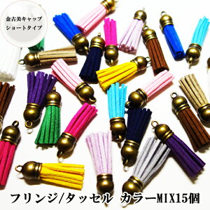 yMIX15zÔLbṽV[g^bZAJ[MIX@^bZ/tWAANZT[̃p[c`[ƂāsAXCOAobO`[XgbvɂIXX