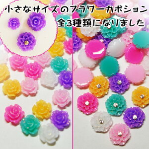 y_A40/J[Yɏ50/J[Y40zminiTCỸt[J{Vp[c rrbhn6FMIX 3ނIׂ܂ fRp[c J{V t[p[c [YKN