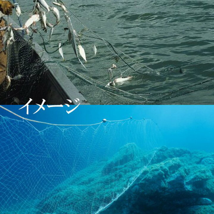 楽天市場】送料無料 刺網（建網）70m×1.5m白 刺網 魚網 漁具 海や川で 