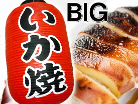 楽天市場 イカ焼き提灯の通販