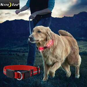 �N�[�|����15%OFF��NITE IZE �i�C�g�A�C�Y LIGHT UP DOG COLLAR ���C�g�A�b�v �h�b�O�J���[ �����Y �~���^���[ �A�E�g�h�A�yT�zWAIPER �M�t�g�b��� ���p�i �y�b�g�p�i LED ���� ��� �U�� ���� ���S �h�� 