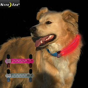 �N�[�|����15%OFF��NITE IZE �i�C�g�A�C�Y DOG COLLAR COVER �h�b�O�J���[�J�o�[ �����Y �~���^���[ �A�E�g�h�A�yT�zWAIPER �M�t�g