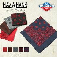 【最短即日発送】クーポンで15%OFF★HAV-A-HANK ハバハンク AUSTIN PAISLEYS BANDANNA オースティン・ペ…