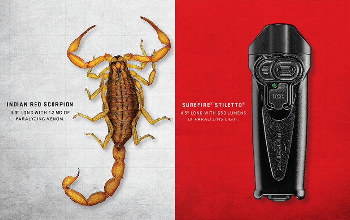 楽天市場】SUREFIRE シュアファイア STILETTO Multi-Output 