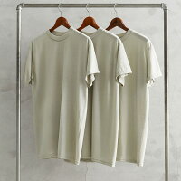 実物 新品 デッドストック 米軍 MOISTURE WICKING Tシャツ SAND 3PACS MADE IN USA