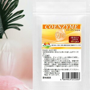 p@RGUCQ10 Tv 240@4 2CoQ10@60mgz zRČnTṽJj`⃿|_ƑQ@yf RČn