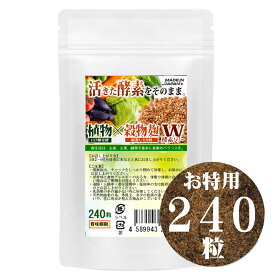 お特用パッケージ こうじ酵素 麹 240粒 熟成137種植物発酵エキス 厳選9種穀物麹 糖類 3種 野菜 きのこ32種 ハーブ38種 穀物9種 豆・ナッツ類11種 海藻類6種 計137種と9種穀物麹 白米 黒米 赤米 もちきび ひえ たかきび もちあわ 玄米 大麦 麹酵素 麹 酵素サプリ