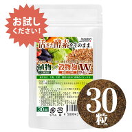 こうじ酵素 麹 酵素サプリ30粒 約15日分 熟成137種植物発酵エキス【糖類 3種 野菜 きのこ32種 ハーブ38種…