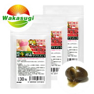 生酵素 サプリメント 90粒 3袋セット 約3か月分 176種類の植物発酵エキス配合 野草 野菜 果物 海藻 穀物 …