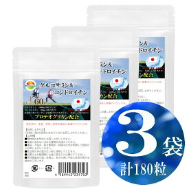 グルコサミン＆コンドロイチン60粒【3袋セット計180粒】プロテオグリカン新配合　8粒当たり　グルコサミン1600mg配合　コンドロイチン200mg配合　非変性II型コラーゲン 非変性プロテオグリカン　3120μg配合