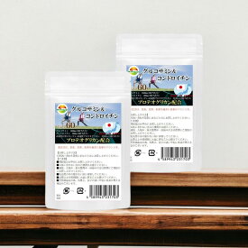 グルコサミン コンドロイチン サプリメント 2袋セット 計120粒 約2か月分 グルコサミン1600mg コンドロイチン200mg 非変性II型コラーゲン プロテオグリカン 日本製 WAKASUGI