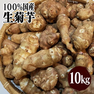 y[zWAKASUGII e 10kg kCY܂͊򕌌Y _Ew엿sgp CkLx h{_ sIʕi e𒃁E`bvXɂ