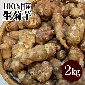 【即納】WAKASUGI 菊芋 生菊芋 2kg 北海道産 岐阜県産 無農薬 化学肥料不使用 イヌリン 菊芋茶 菊芋チップス 不選別 訳あり 栄養豊富 健康食品