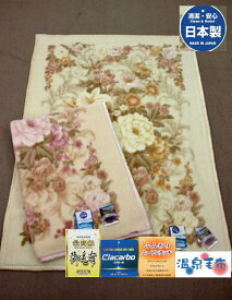 【送料無料】【日本製】温泉毛布(シングルサイズ)マイナスイオンニューマイヤー(一重)毛布静電防止加工マイナスイオンの効果で心身をリラックス！140×200cm