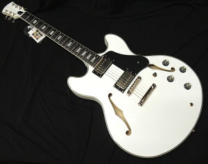 y|Cg3{zSire Larry Carlton H7 WHT TCA[ [J[g Z~AR^Cv GLM^[ zCgyz