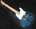 FGN FUJIGEN NTE100MAH SBB Neo Classic SERIES フジゲン テレキャスタータイプ シースルーブルーバースト エレキギター【送料無料】【祝!!楽天ランキング1位】