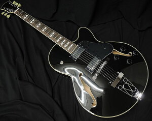 Sire Larry Carlton H7F BK TCA[ [J[g tAR^Cv GLM^[ ubNyzyAEgbgz