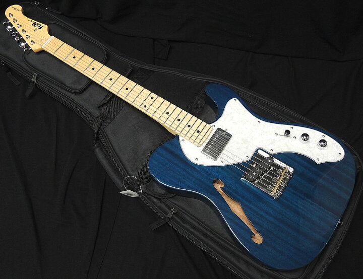 楽天市場】FGN FUJIGEN NTE110MMHT TBL フジゲン Neo Classic SERIES 