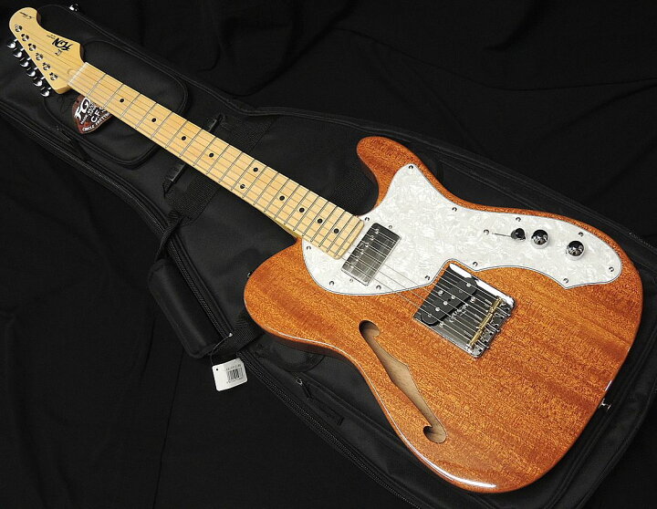 楽天市場】FGN FUJIGEN NTE110MMHT NT フジゲン Neo Classic SERIES 
