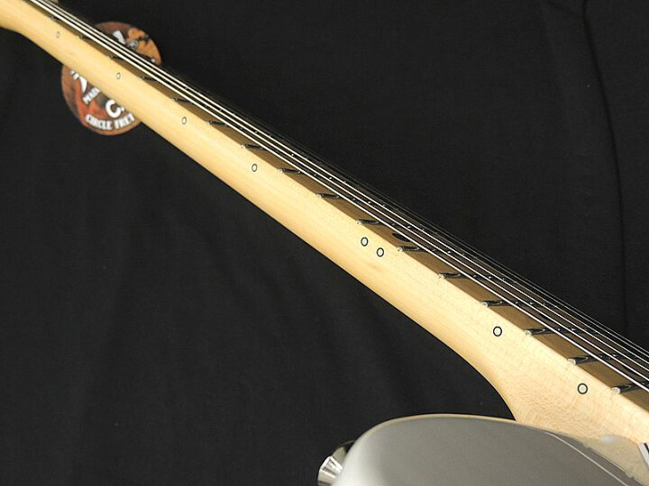 楽天市場】【ポイント3倍】FGN FUJIGEN NTE100MAHT WB フジゲン Neo 