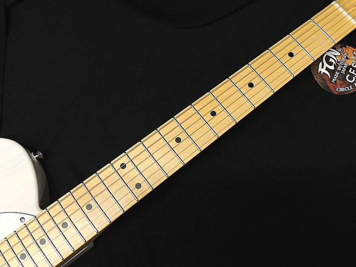 楽天市場】【ポイント3倍】FGN FUJIGEN NTE100MAHT WB フジゲン Neo 