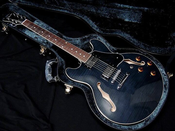楽天市場】SCHECTER R-SW-260/STBK セミアコタイプ シェクター【新品 