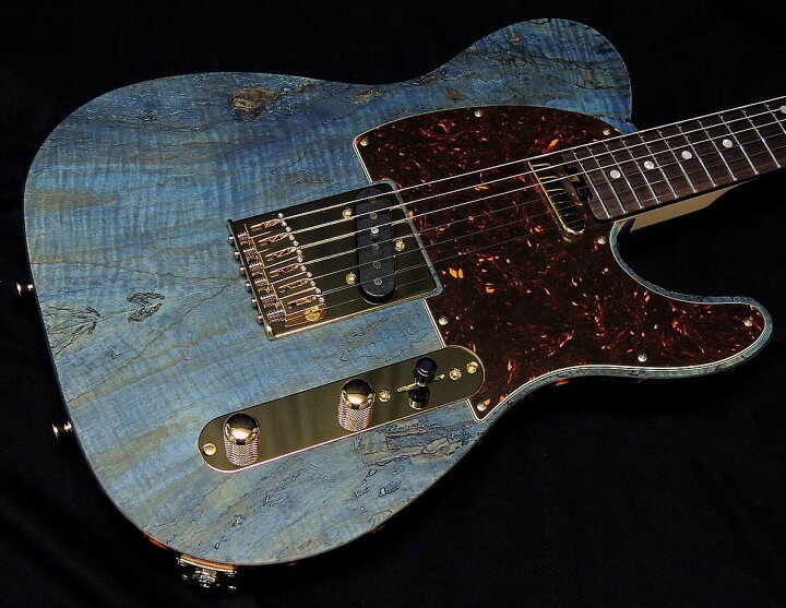 楽天市場】【4/1限定！P4倍＆最大2000円OFFクーポン】SCHECTER PS-PT 