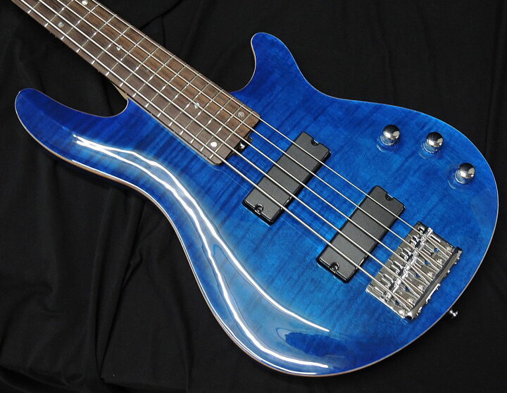 楽天市場】【最大2000円OFFクーポン】SCHECTER JOL-CT-B-5 BKAQ 