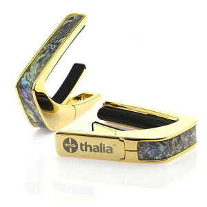 Thalia Capos ^A J| Exotic Shell Series DRAGON ABALONE 24K Gold M^[ 12C`tbhpbht hS Ao S[hyz