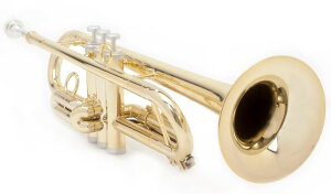 pInstruments �s�[�C���X�g�D�������c �v���X�`�b�N���Ǌy�� �g�����y�b�g pTrumpet hyTech Bb�� �y��&���ϋvABS�� �o�C�I�R�[�g�R�� PTRUMPET1HTG �S�[���h �u���X���}�E�X�s�[�X/�M�O�o�b�O�t��