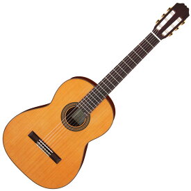 ARIA ACE-5C スペイン製 アリア クラシックギター ナイロン弦 セダー単板【送料無料】【新品】