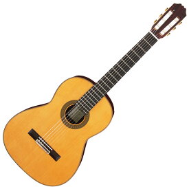 【ポイント3倍】ARIA ACE-8C スペイン製 アリア クラシックギター ナイロン弦 セダー ローズウッド オール単板【送料無料】【新品】