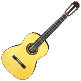 ARIA ACE-8S スペイン製 アリア クラシックギター ナイロン弦 スプルース ローズウッド オール単板【送料無料】【新品】