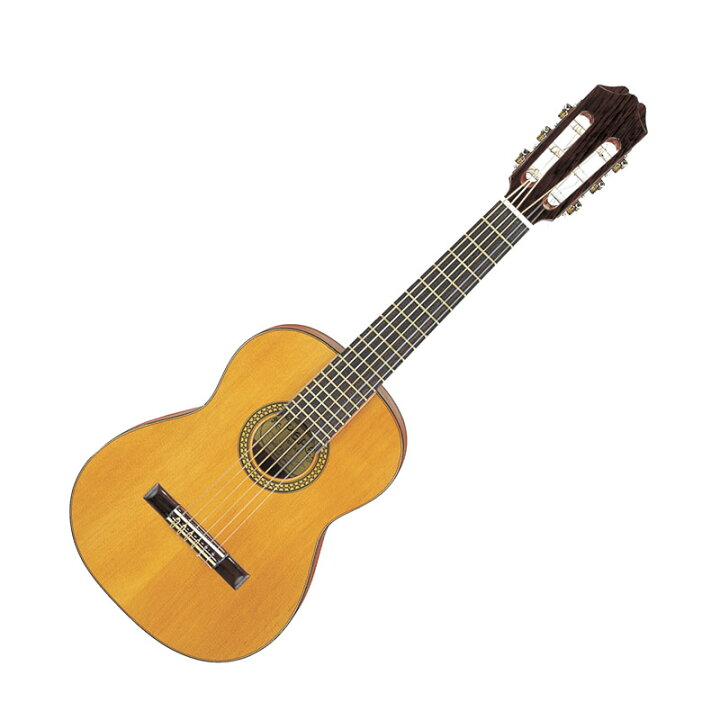 楽天市場】ARIA PEPE PS-48 スペイン製 アリア クラシックギター 